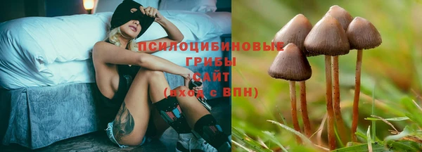 крисы Армянск