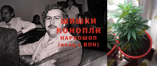 ГАЛЛЮЦИНОГЕННЫЕ ГРИБЫ Арсеньев