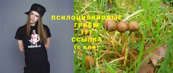 бошки Баксан
