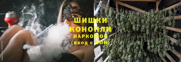 ГАЛЛЮЦИНОГЕННЫЕ ГРИБЫ Арсеньев