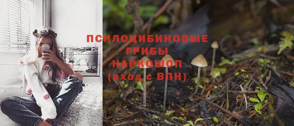 крисы Армянск