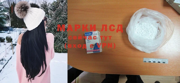 ГАЛЛЮЦИНОГЕННЫЕ ГРИБЫ Арсеньев