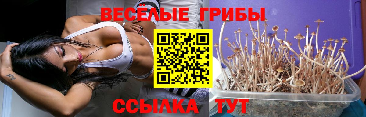 Псилоцибиновые грибы Magic Shrooms  купить закладку  Еманжелинск  Галлюциногенные грибы ЛСД  Вход с VPN 